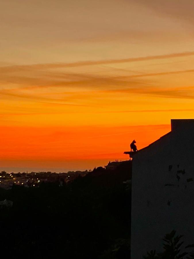 Ocean View Skyline Apartment ‚Hakuna Matata' Albufeira Exteriér fotografie